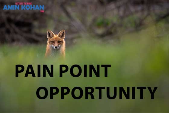 pain point and opportunity